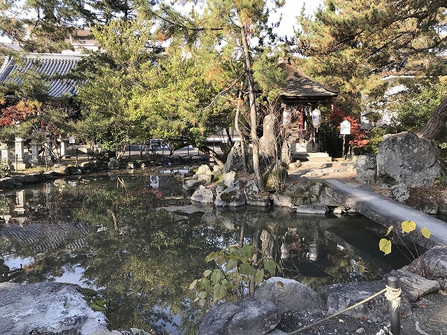 長濱八幡宮　放生池