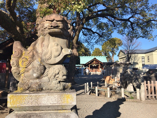 古知野神社　狛犬から全景