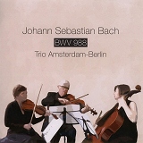 trio_amsterdam-berlin_bach_goldberg_variations_string_trio.jpg