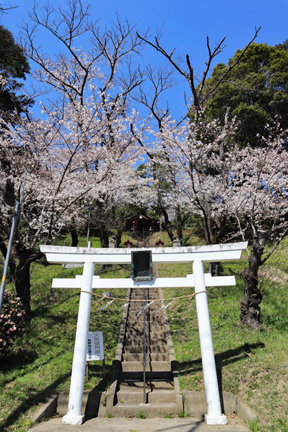 190403_Kumano-Shrine.jpg
