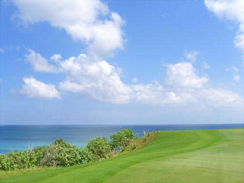 ゴルフ インド洋を望むグリーン001