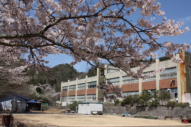 五名小学校　桜