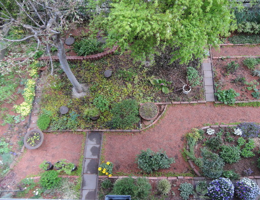 切り撮りlittle Garden 5月の庭作業 どうする 木の洞 うろ