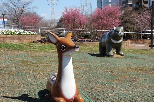 新横浜駅前公園のおかめ桜３