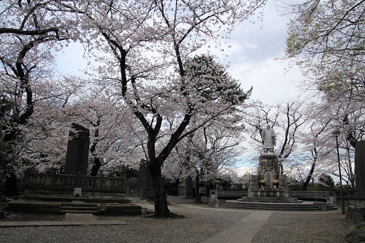 日蓮聖人像と桜１
