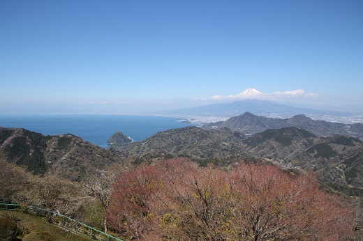 富士見テラスからの富士山と駿河湾1