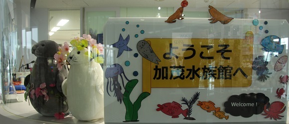 加茂水族館はクラゲの展示種類数が世界一