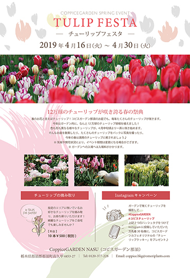 tulip-festa2019.jpg