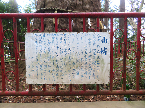 麻賀多神社25