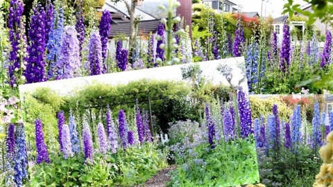 春のガーデン 青紫 ガーデン