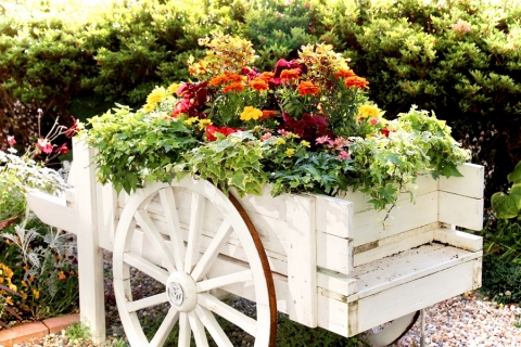 休暇村の花装飾 夏バージョン ガーデンの植栽管理