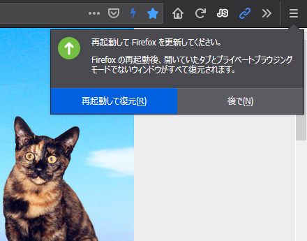 Mozilla Firefox 67.0 Beta 7