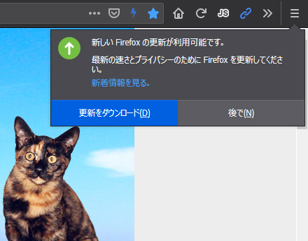 Mozilla Firefox 67.0 Beta 12