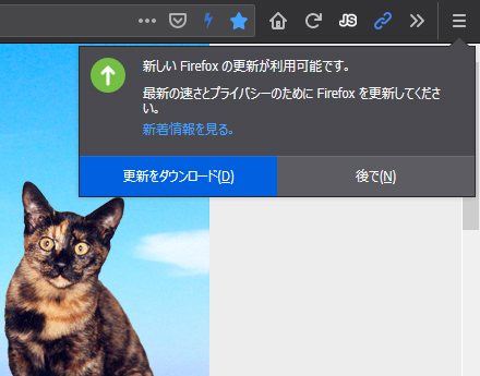 Mozilla Firefox 67.0 Beta 13