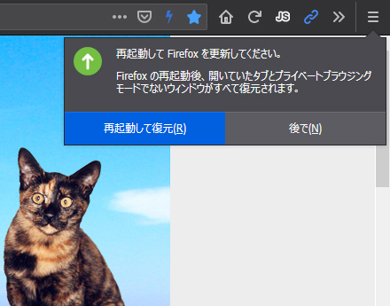 Mozilla Firefox 67.0 Beta 13