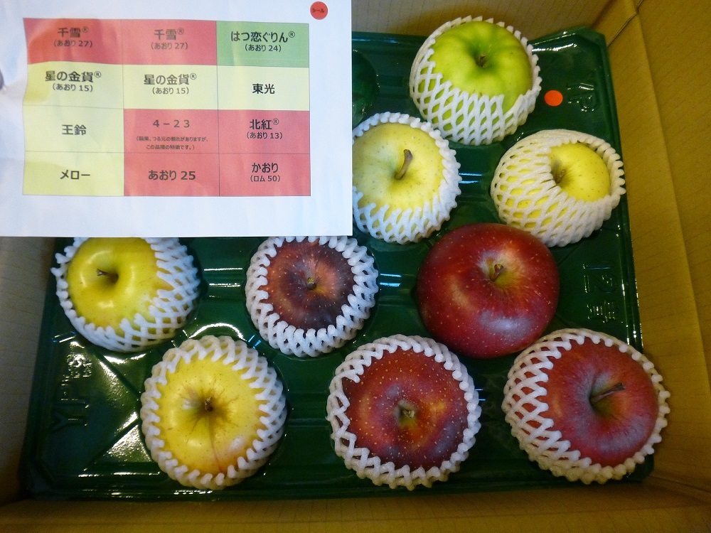 希少品種リンゴ収集記 グラニースミスは生でもアップルパイにしても至高だった - ブルガリア産商品調査記 ― エキセントリック自由帳