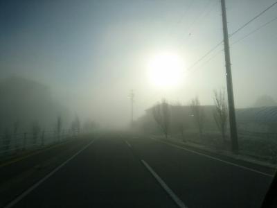 霧の朝です