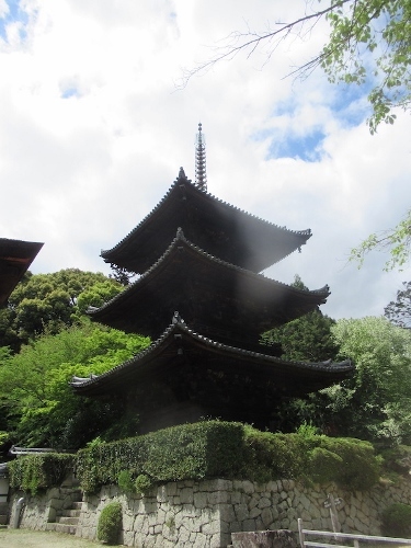 多寿子三井寺 (375x500)