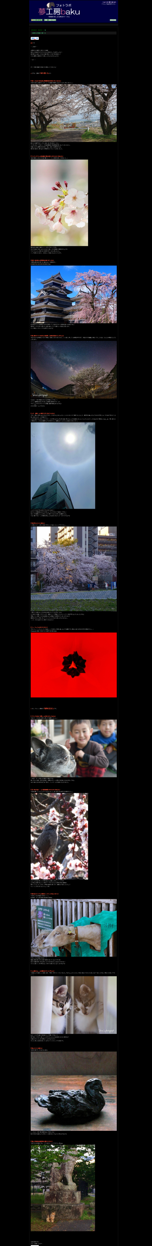 フォトラボ 夢工房 ばく 定期Web写真展（春）19_e